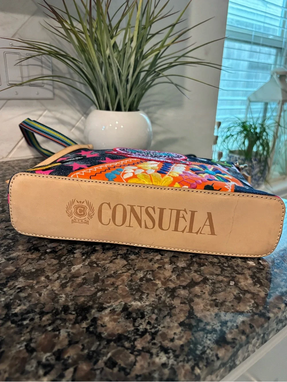 Consuela Multicolor Embroidered Crossbody with Leather Trim